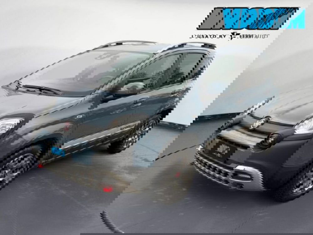 Fiat Panda Cross usata a Treviso