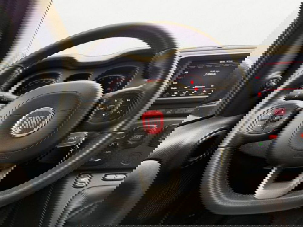 Fiat Panda Cross usata a Treviso (13)