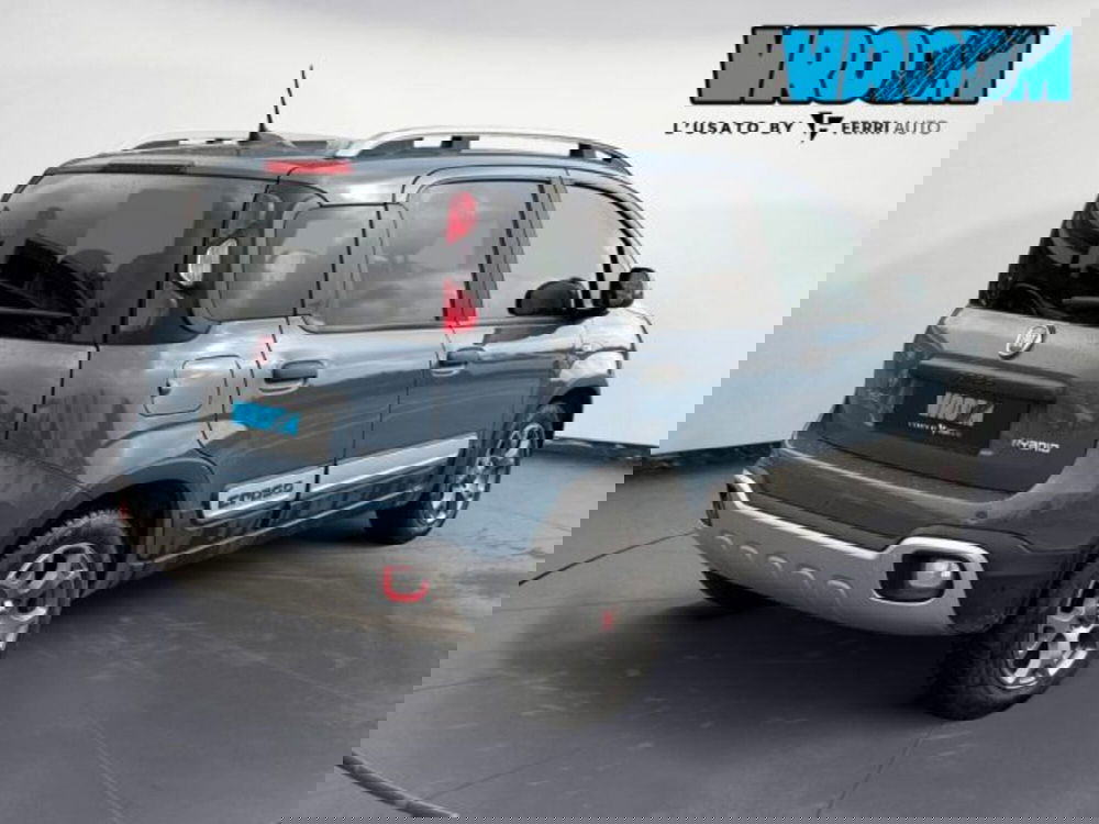 Fiat Panda Cross usata a Treviso (6)