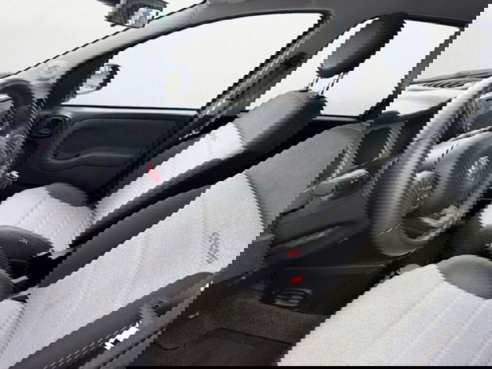 Fiat Panda Cross usata a Treviso (9)
