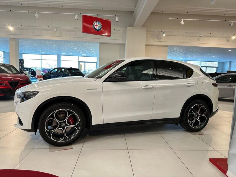Alfa Romeo Stelvio nuova a Sondrio (2)