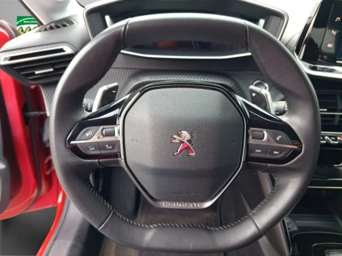 Peugeot 208 usata a Frosinone (16)