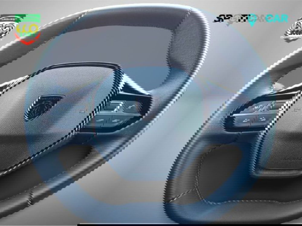 Peugeot 2008 usata a Frosinone (10)