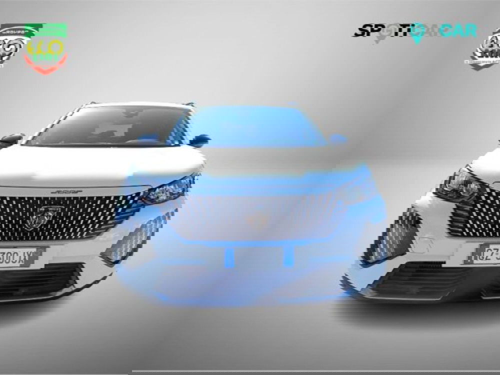 Peugeot 2008 usata a Frosinone (2)