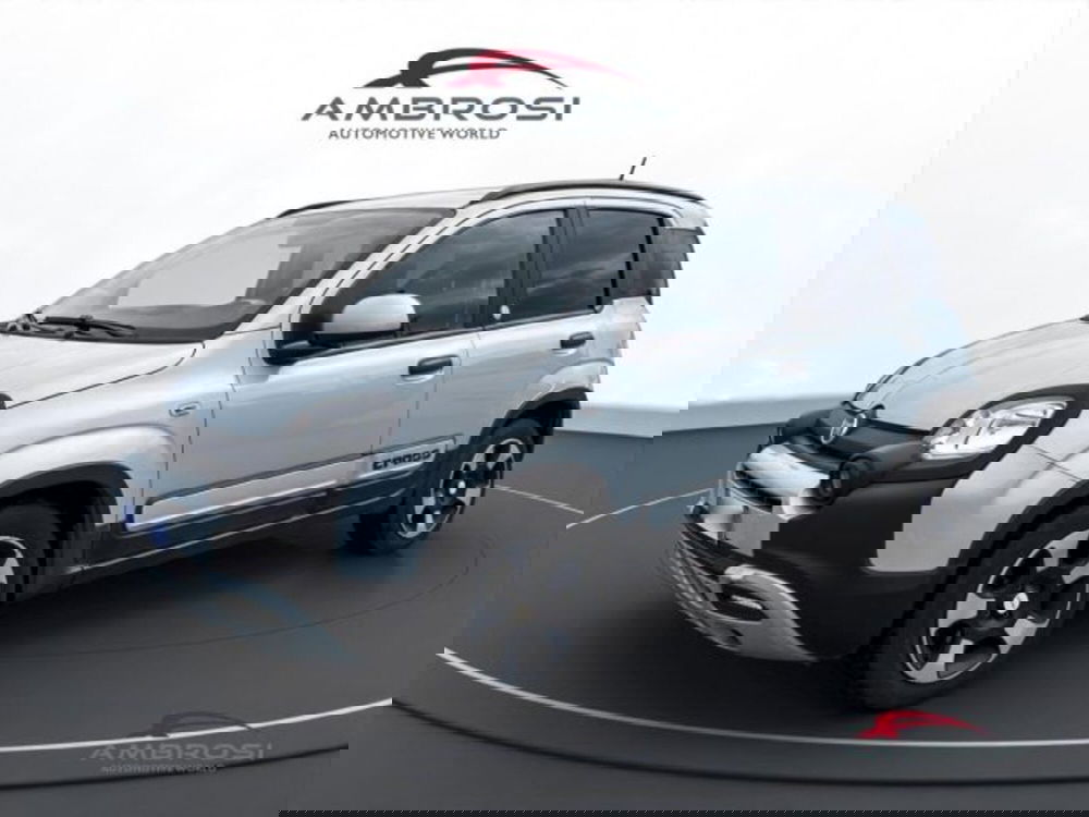 Fiat Panda usata a Perugia