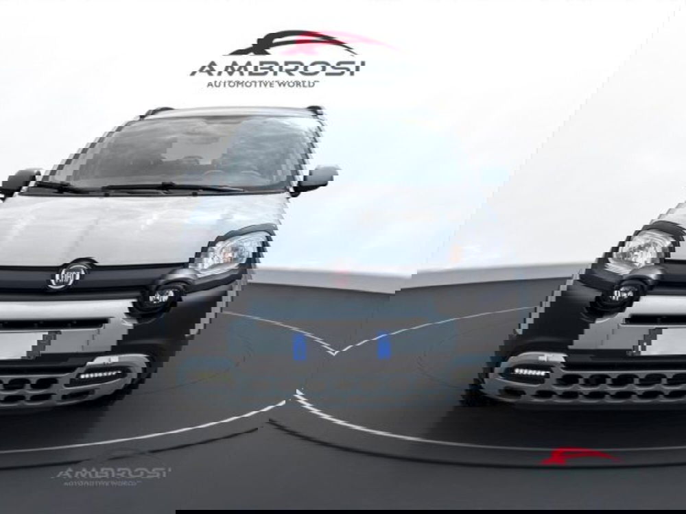 Fiat Panda usata a Perugia (7)