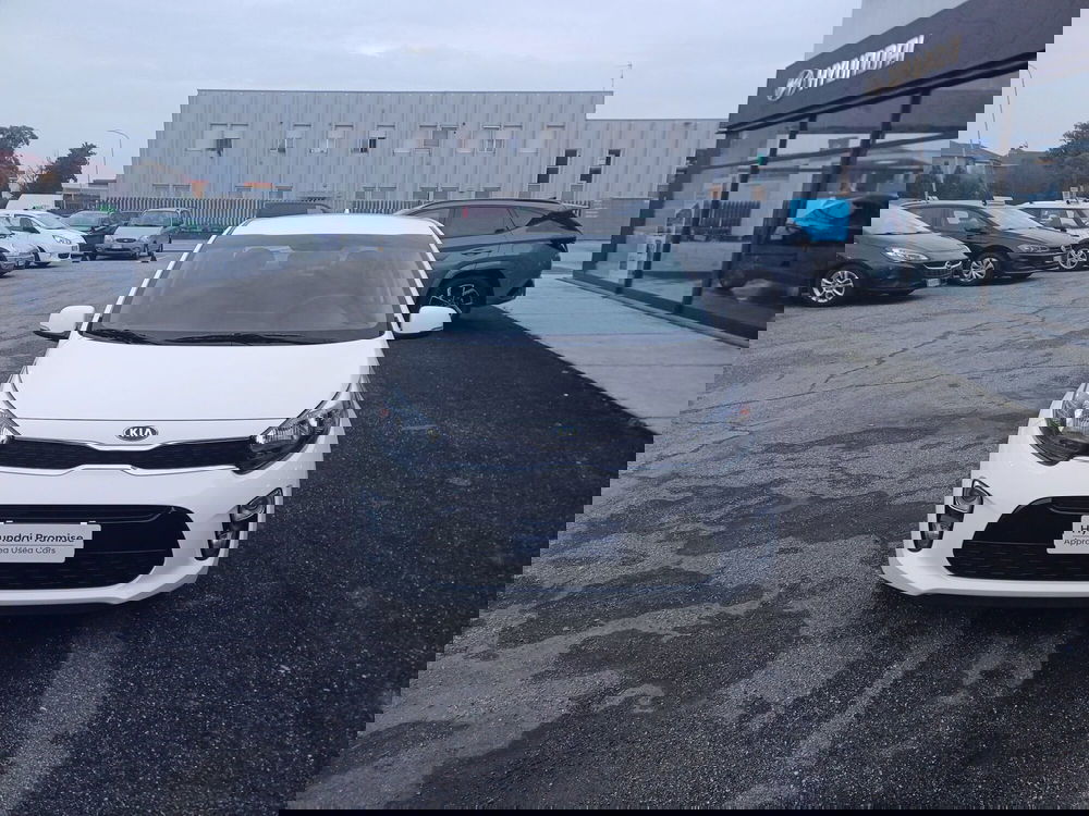 Kia Picanto usata a Alessandria (3)