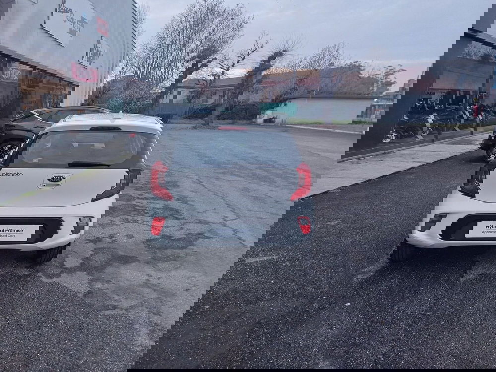Kia Picanto usata a Alessandria (5)