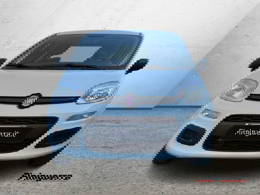 Fiat Panda usata a Sondrio (2)