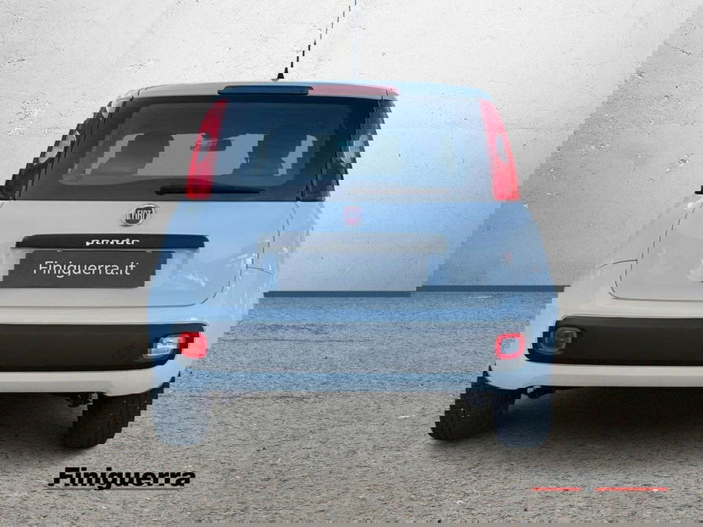 Fiat Panda usata a Sondrio (3)