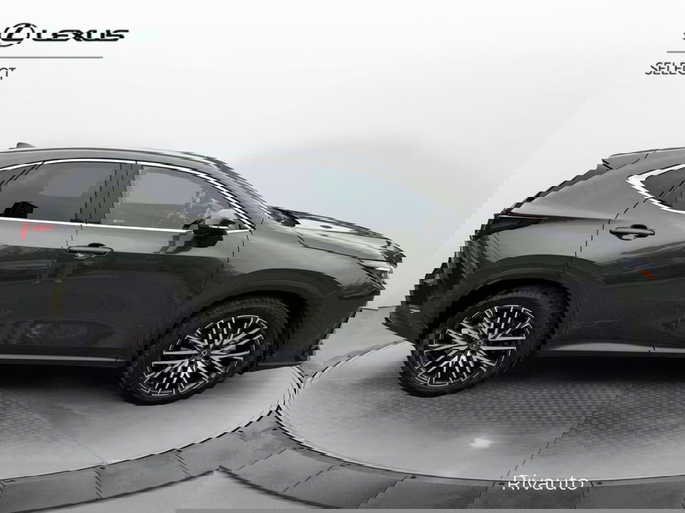 Lexus NX usata a Como (13)