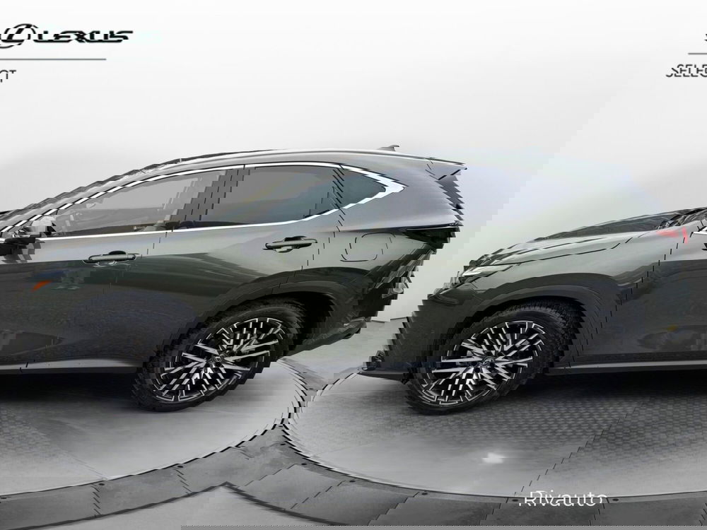 Lexus NX usata a Como (3)