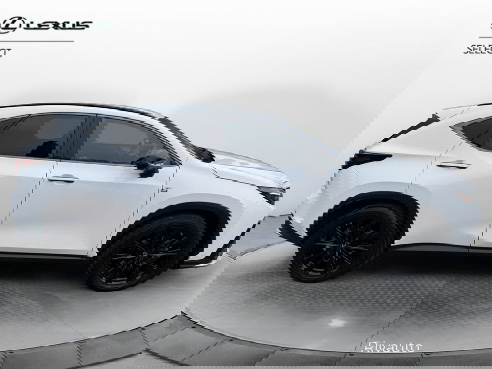 Lexus NX usata a Como (13)