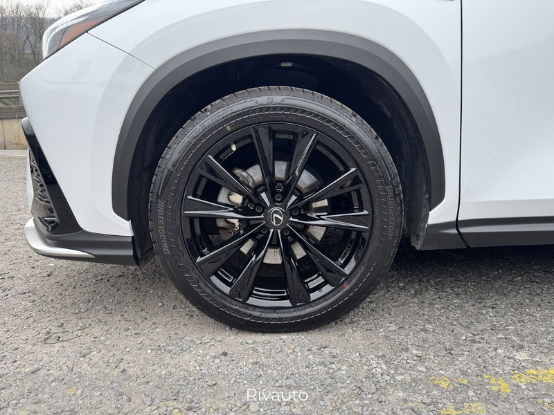 Lexus NX usata a Como (14)
