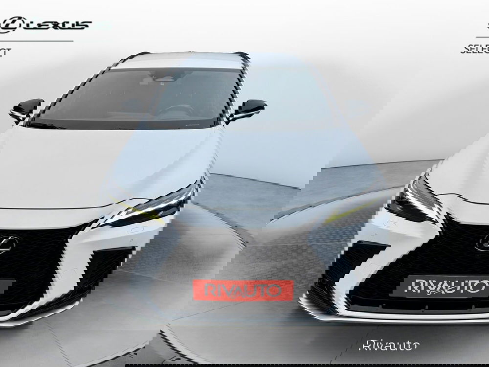 Lexus NX usata a Como (5)