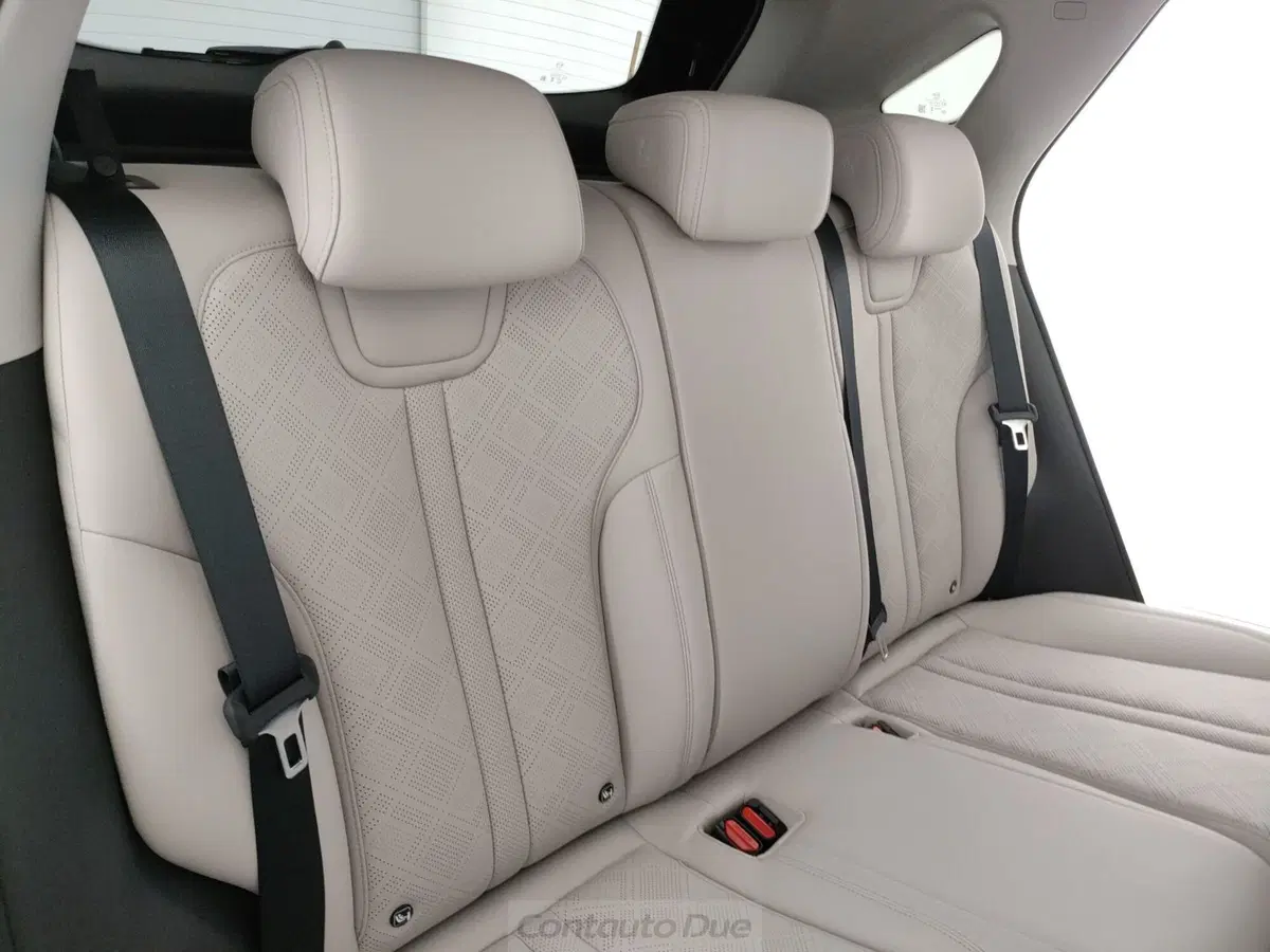 Byd Atto 2 DM-i nuova a Caserta (10)