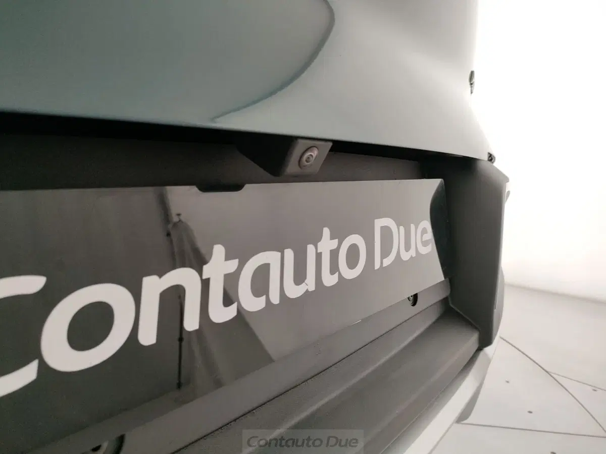 Byd Atto 2 DM-i nuova a Caserta (11)