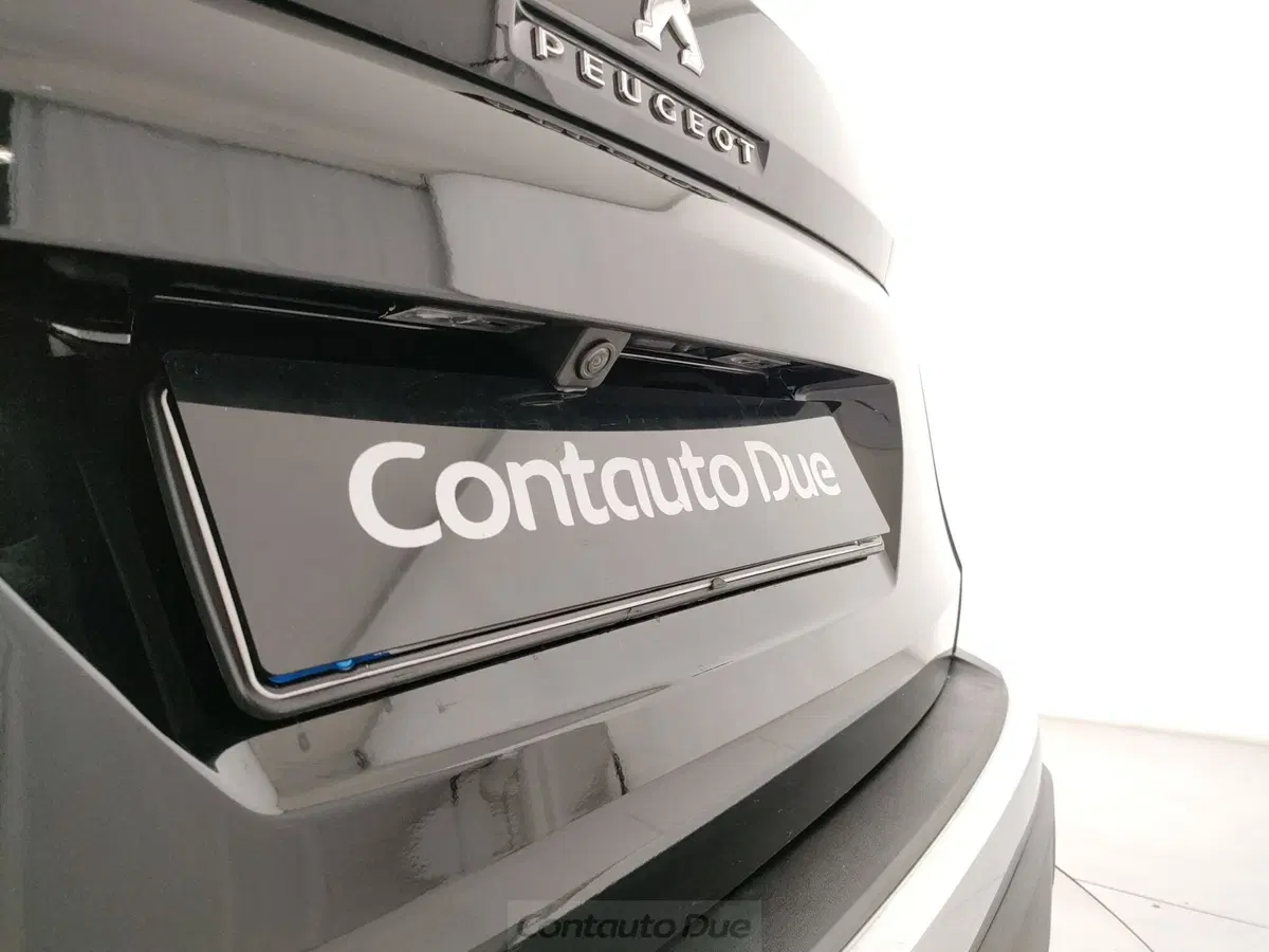 Peugeot 3008 usata a Caserta (12)