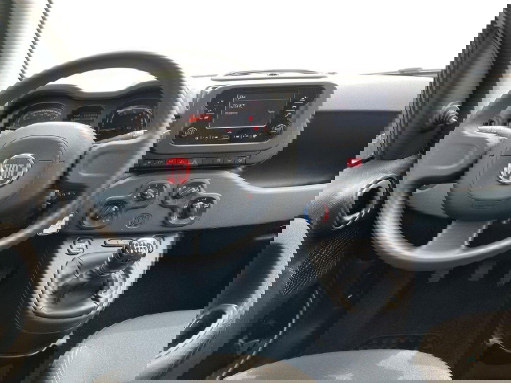 Fiat Panda Cross usata a Torino (10)