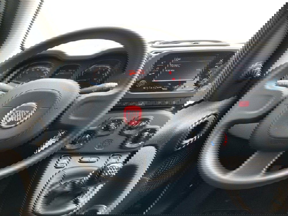 Fiat Panda Cross usata a Torino (11)