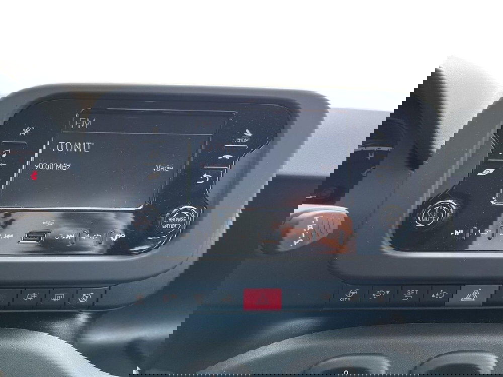 Fiat Panda Cross usata a Torino (12)