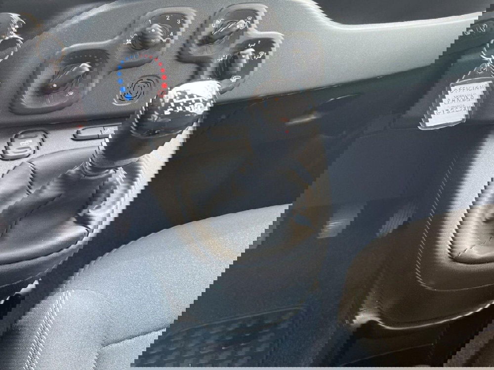 Fiat Panda Cross usata a Torino (13)