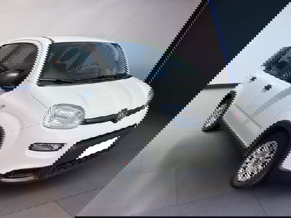 Fiat Panda Cross usata a Torino (3)