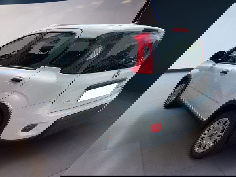 Fiat Panda Cross usata a Torino (5)