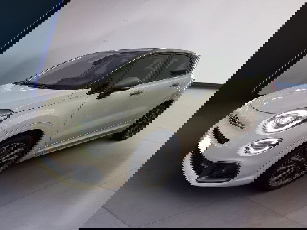 Fiat 500X usata a Torino (2)