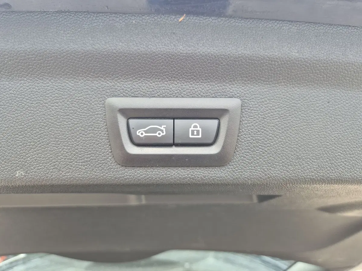 MINI Mini Countryman usata  (15)
