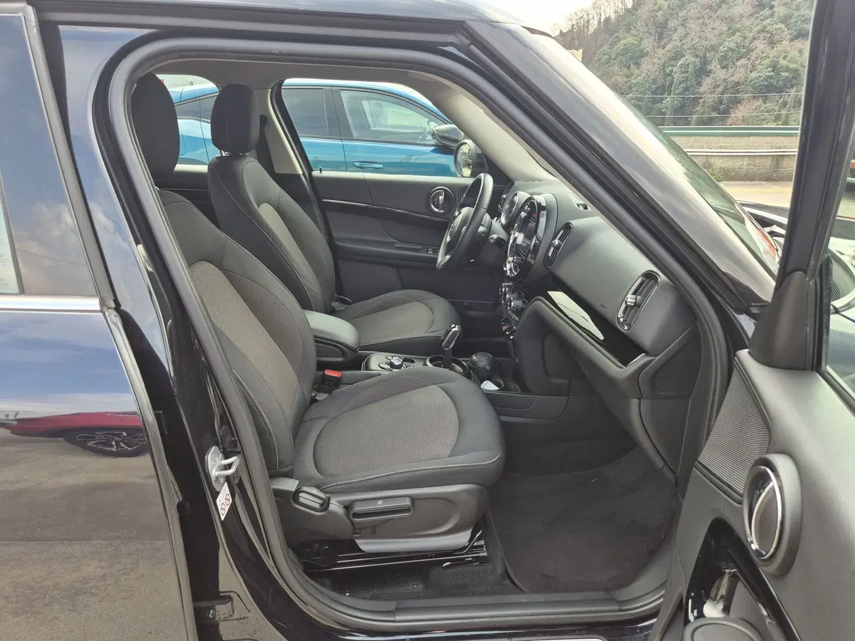MINI Mini Countryman usata  (9)