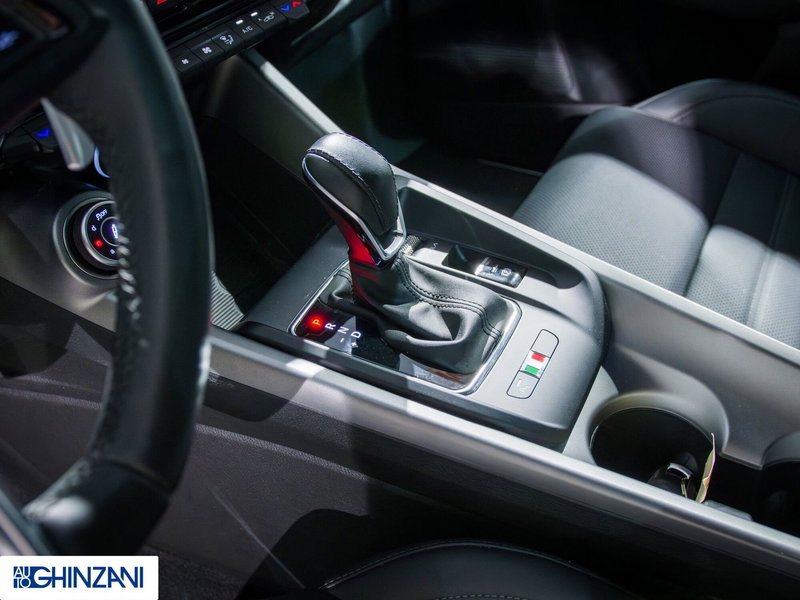 Alfa Romeo Tonale usata a Bergamo (16)