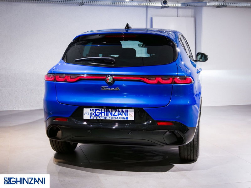 Alfa Romeo Tonale usata a Bergamo (6)