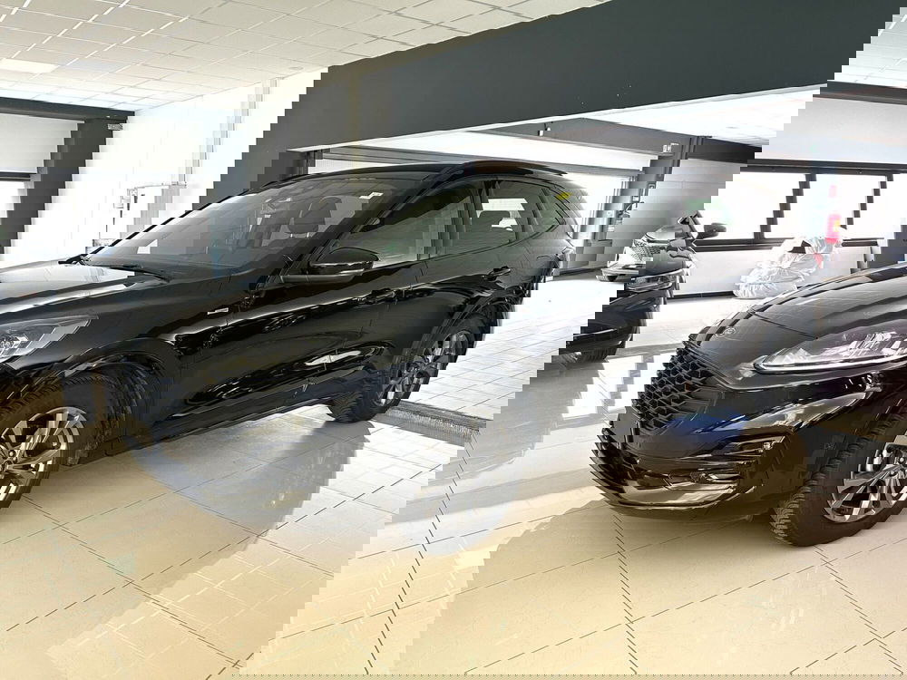 Ford Kuga usata a Ferrara