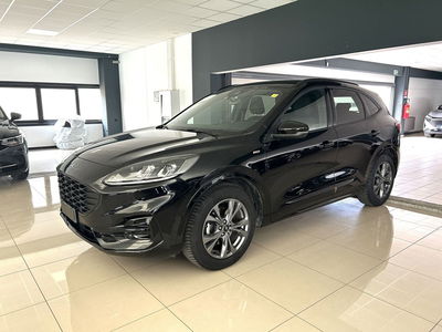 Ford Kuga 1.5 EcoBlue 120 CV 2WD ST-Line del 2021 usata a Ferrara