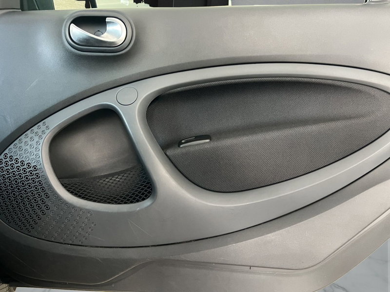 smart Fortwo usata a Cosenza (16)