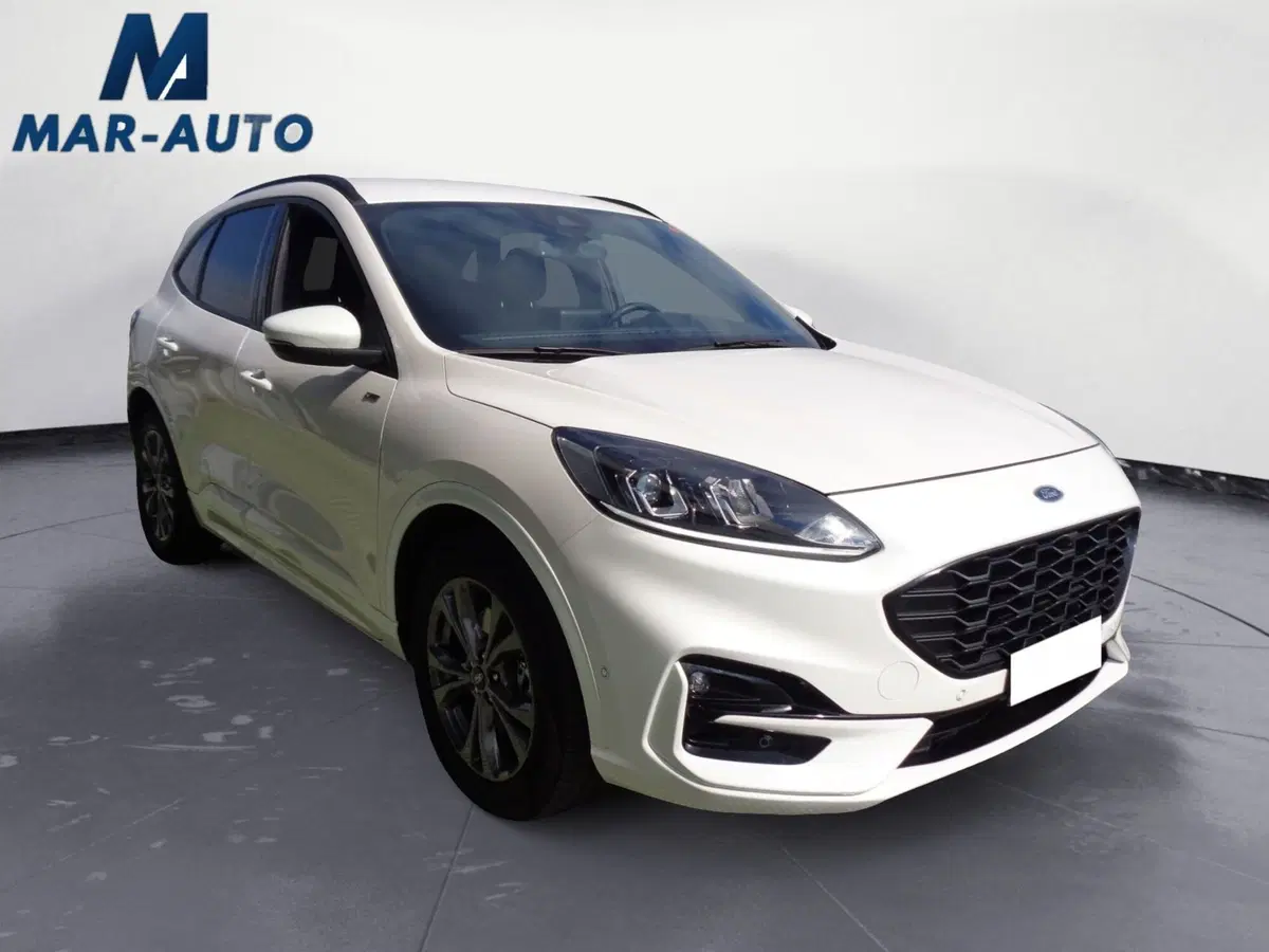 Ford Kuga usata a Treviso (4)