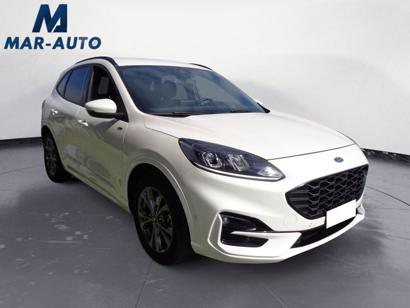 Ford Kuga usata a Treviso (4)