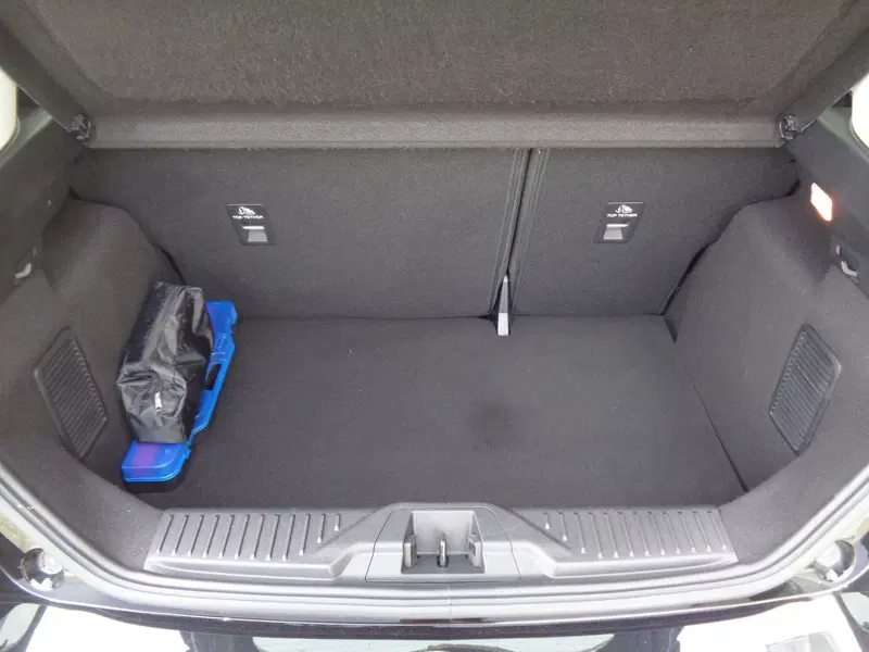 Ford Fiesta usata a Treviso (15)