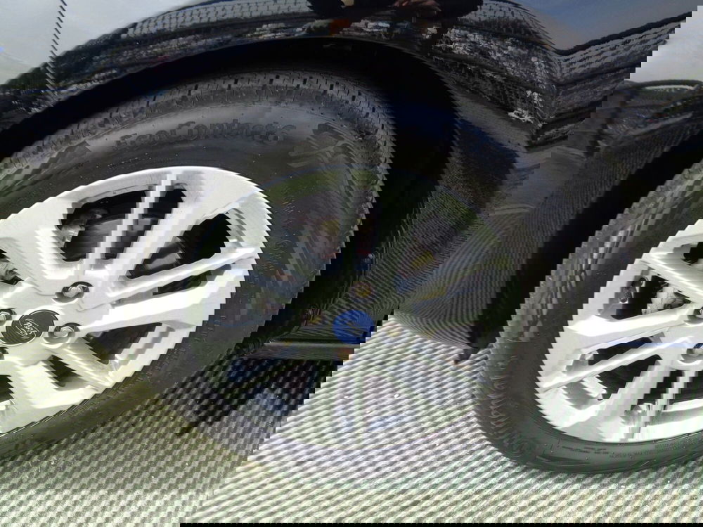 Ford Fiesta usata a Treviso (6)