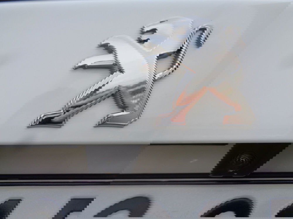 Peugeot 2008 usata a Treviso (19)