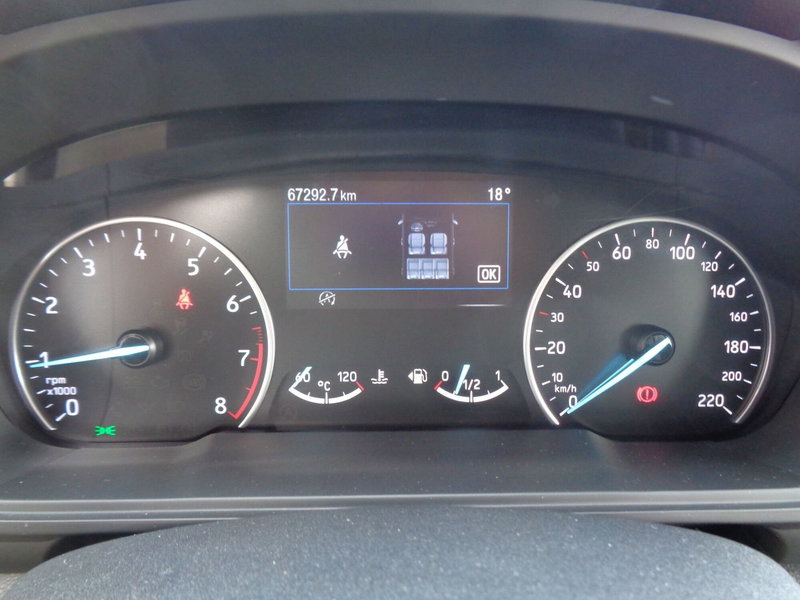 Ford EcoSport usata a Treviso (10)