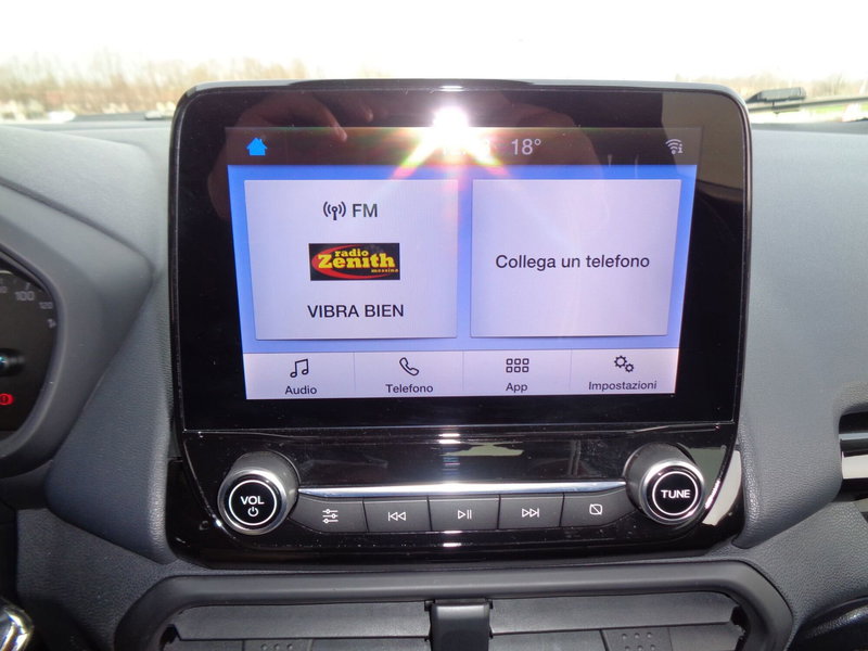 Ford EcoSport usata a Treviso (13)