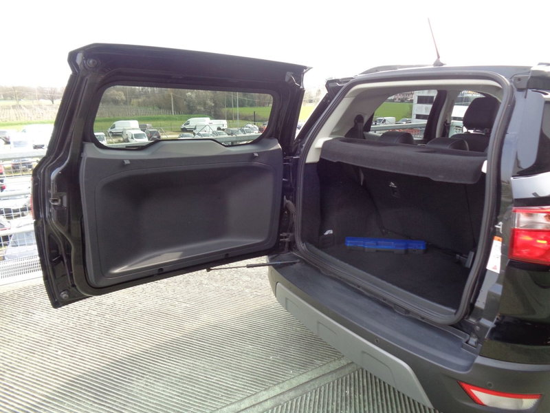 Ford EcoSport usata a Treviso (16)