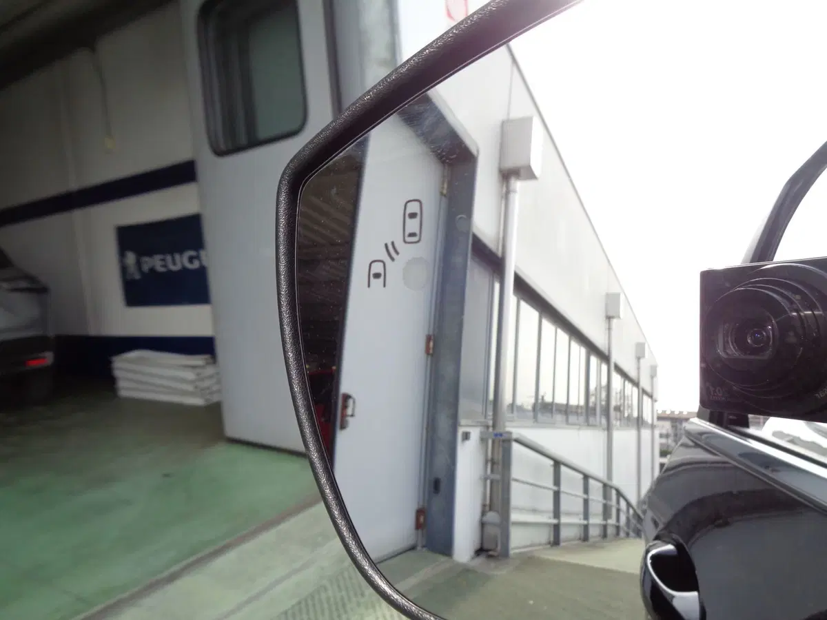 Ford EcoSport usata a Treviso (20)