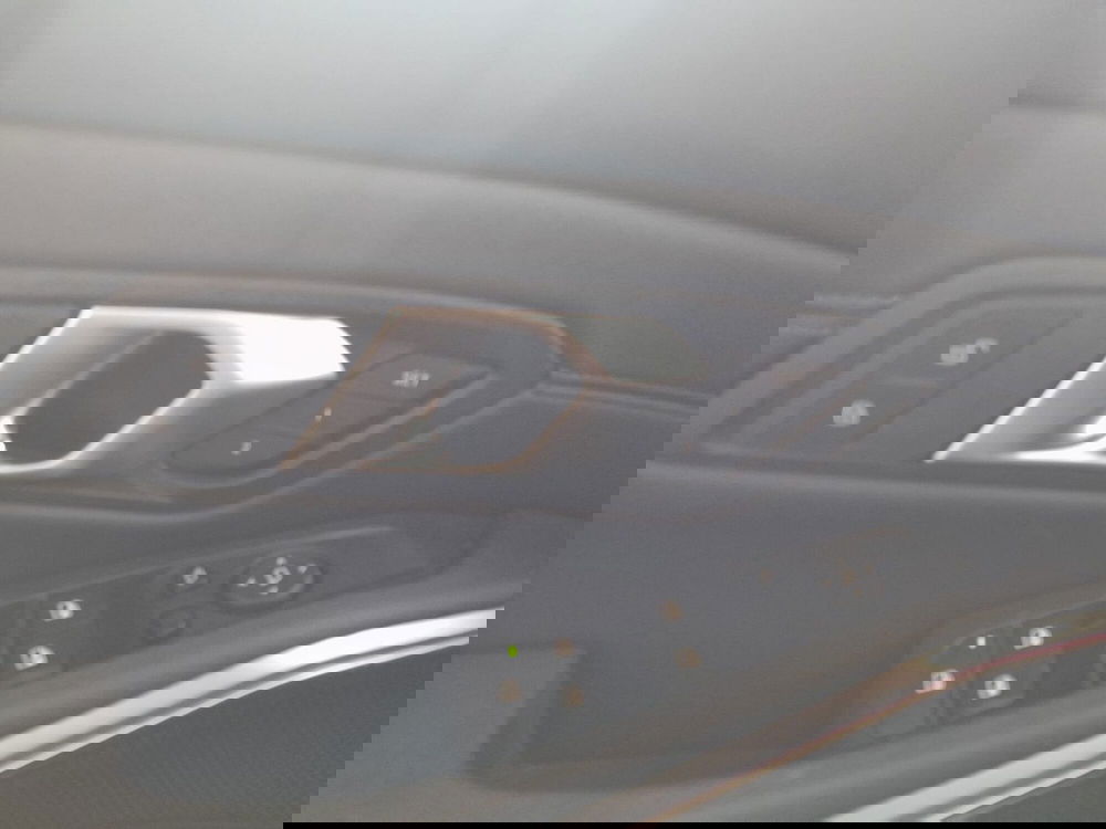 BMW Serie 3 usata a Asti (19)