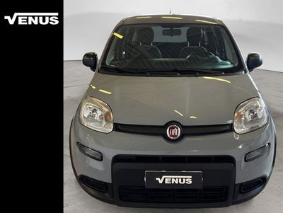 Fiat Panda Cross Cross 1.0 FireFly S&amp;S Hybrid del 2023 usata a Monza