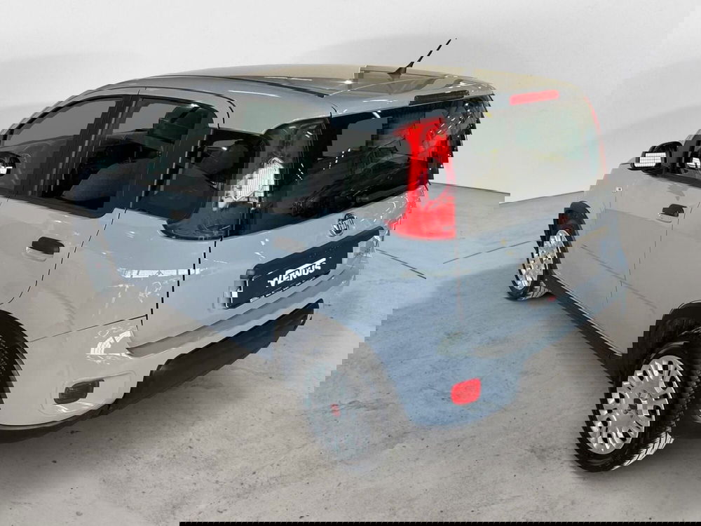 Fiat Panda Cross usata a Monza e Brianza (4)