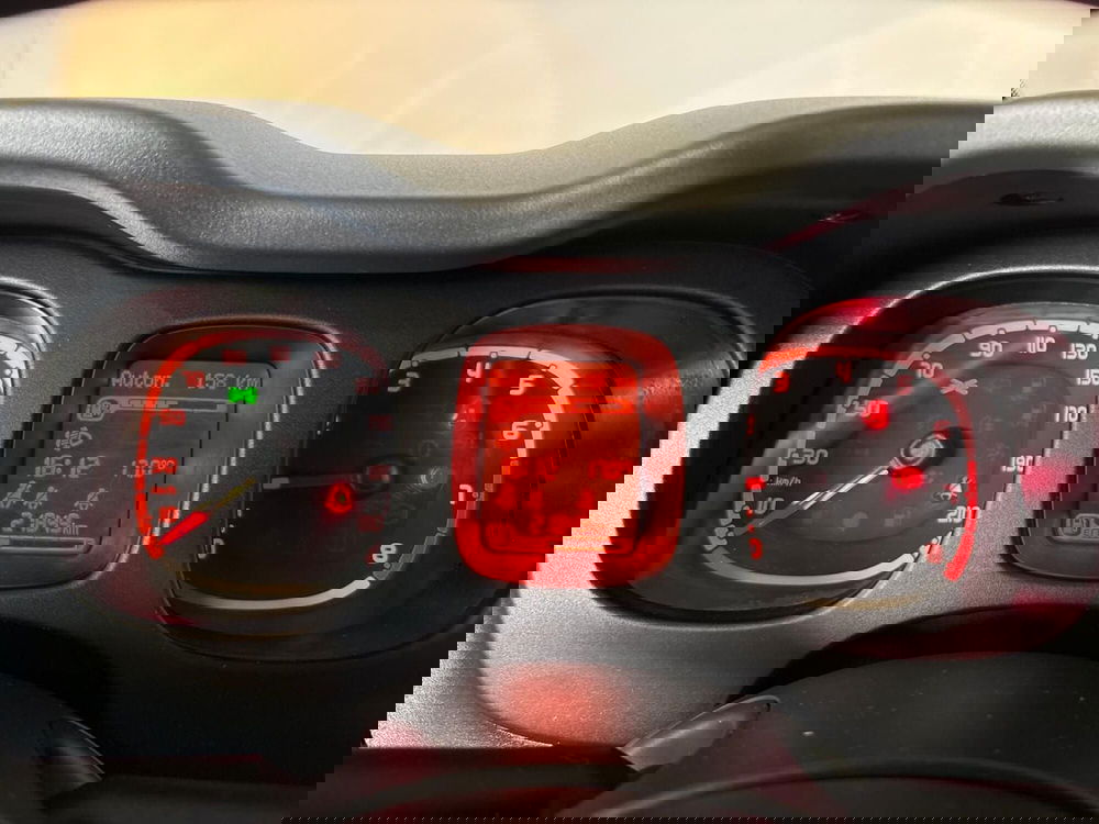 Fiat Panda Cross usata a Monza e Brianza (8)