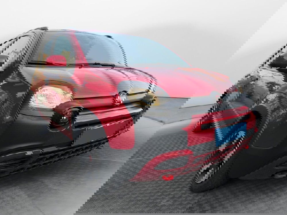 Fiat Panda Cross usata a Salerno (2)